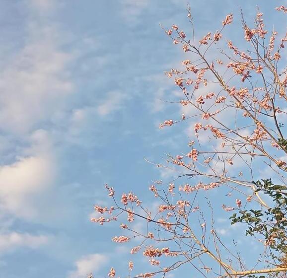 ベッドアンドブレックファースト La Natividad