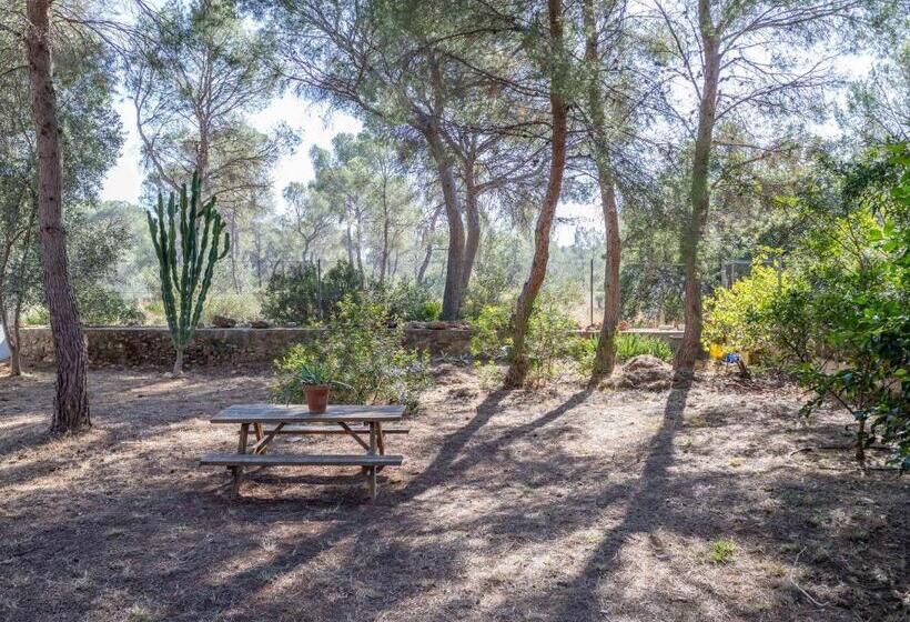 Bed and Breakfast Luxe Vista