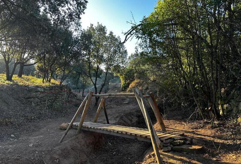 住宿加早餐  Oasis Des Corbières