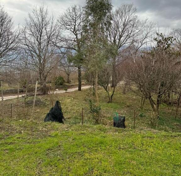 住宿加早餐 Relax And Privacy