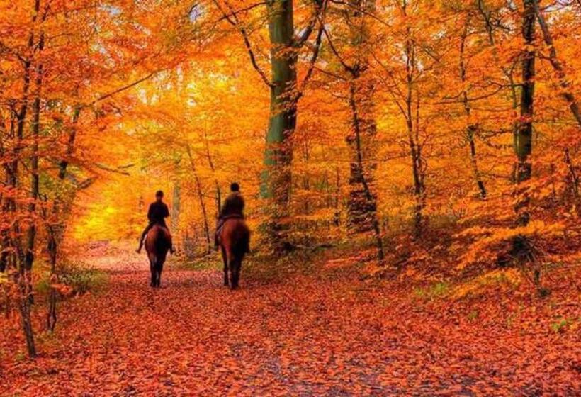 צימר Sunny Peace Homestay