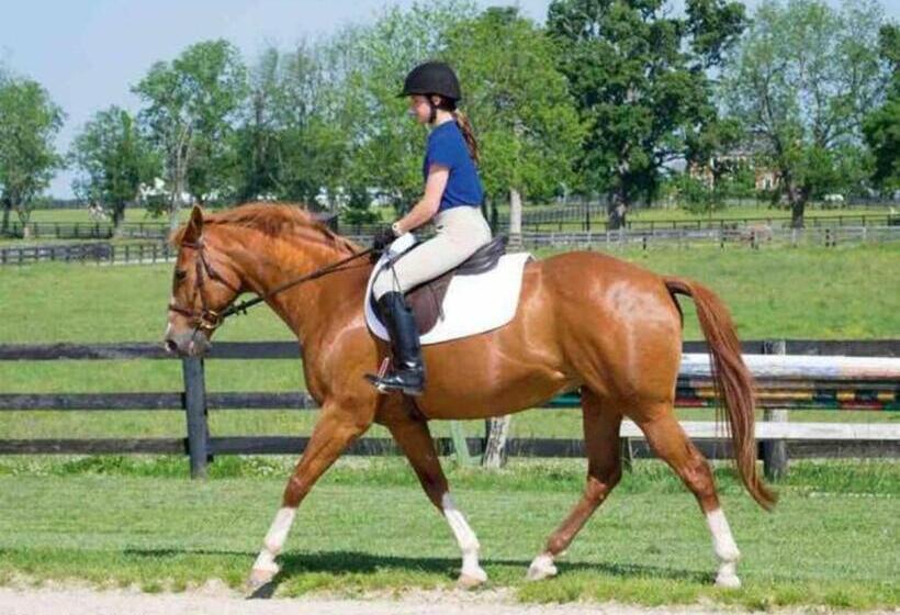 צימר Sunny Peace Homestay