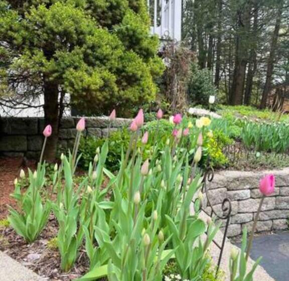 צימר Sunny Peace Homestay