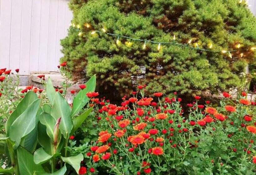 צימר Sunny Peace Homestay