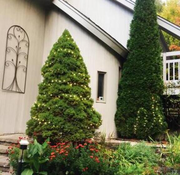 צימר Sunny Peace Homestay