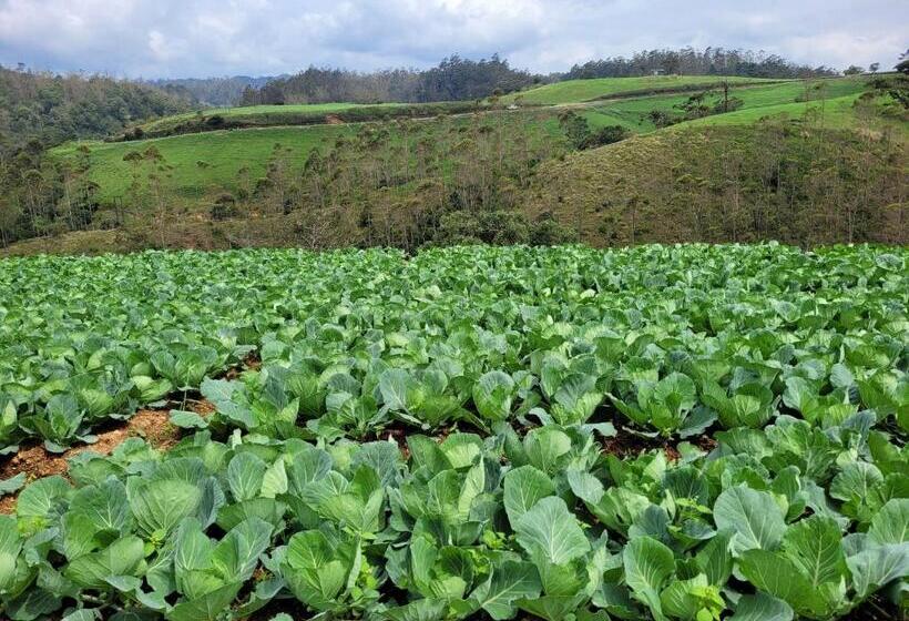 Отель Charley S Heaven Ambewela