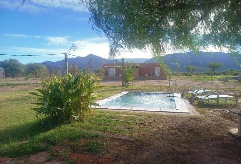 酒店 El Viejo Algarrobo Fiambala