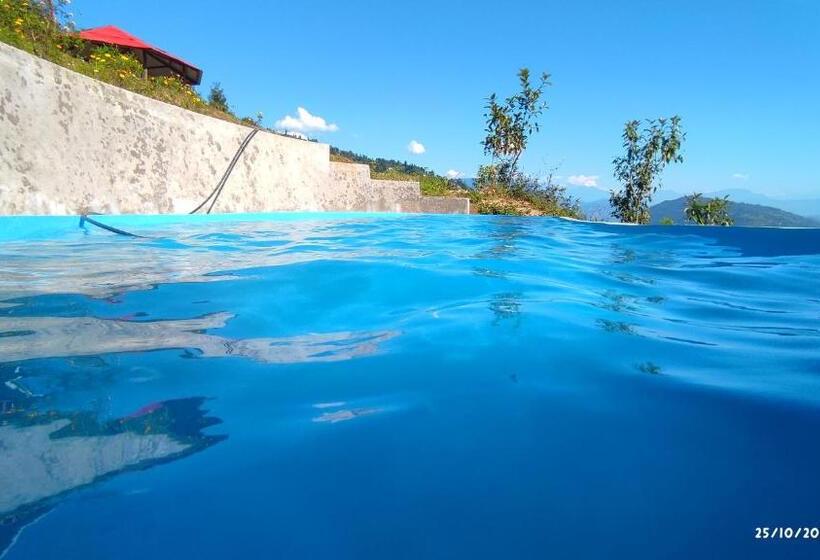 호텔 Paradise Point Farmstay