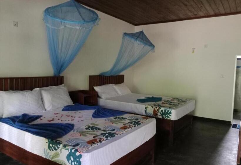 Отель Pride Rock Villa & Tree House