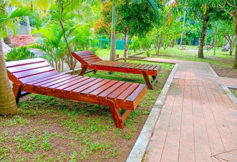 Отель Pride Rock Villa & Tree House