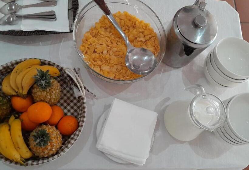 בית מלון כפרי Trashaven   Seaside Haven Backpackers