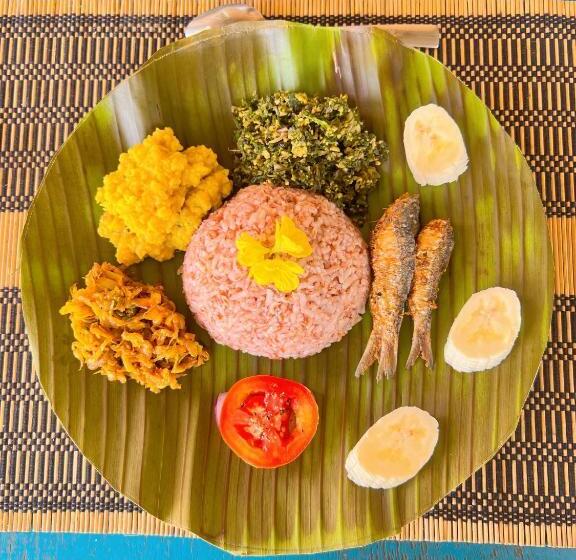 בית מלון כפרי Vonfidel Ranch