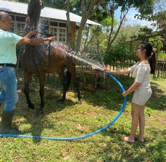 בית מלון כפרי Vonfidel Ranch