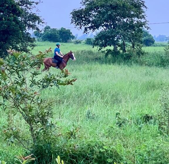 בית מלון כפרי Vonfidel Ranch