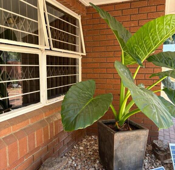 ペンション Bedfordview Accommodation