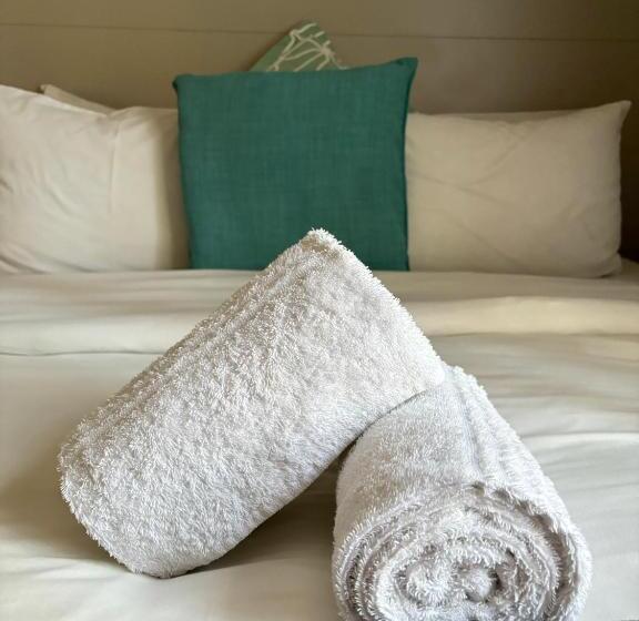 פנסיון Bedfordview Accommodation