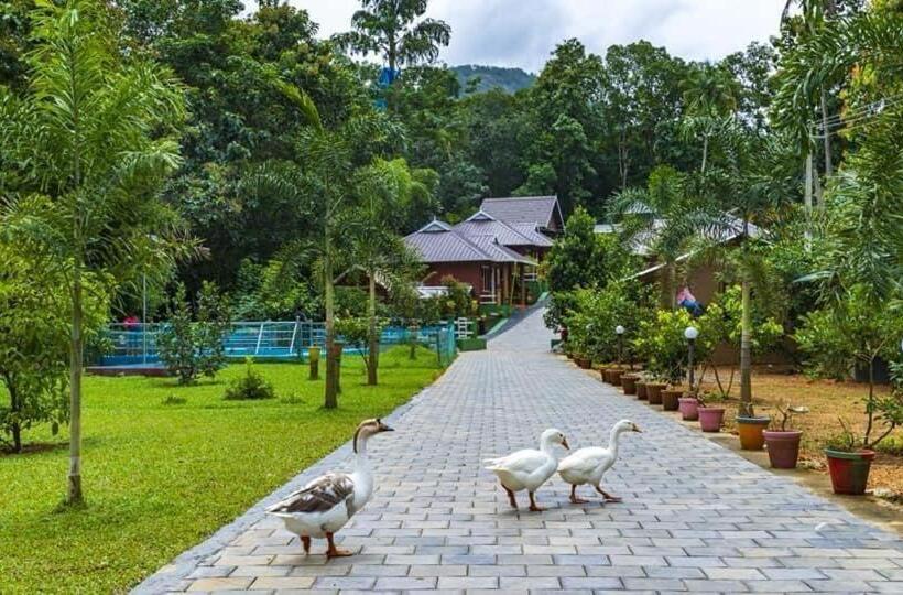 ペンション Budgies Cottage