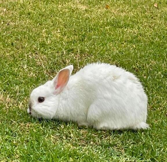 פנסיון Calm Waters Guesthouse