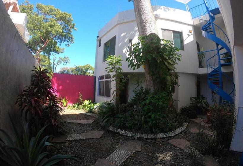 بنسيون Casa Arbol De Paz Hab Sencilla