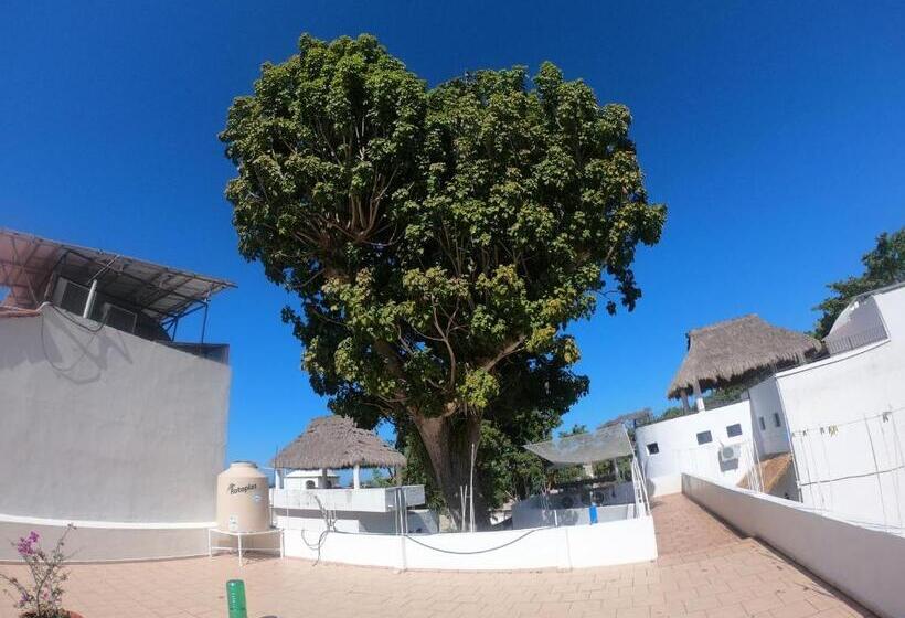 بنسيون Casa Arbol De Paz Habitación Doble
