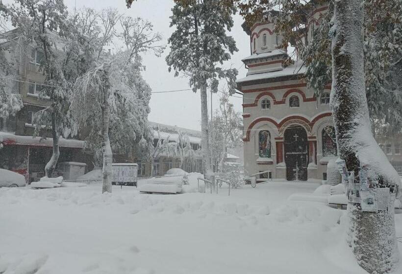 膳宿费 City House