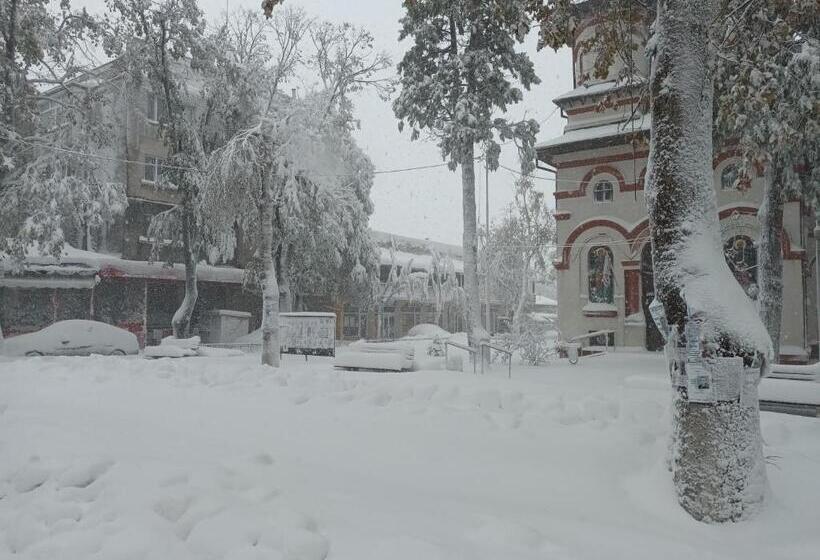 膳宿费 City House