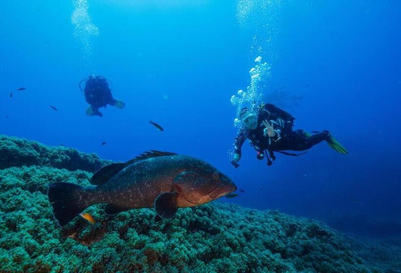 膳宿费 Espírito Azul Guest House   Rooms To Rent, 2 Minutes Walking From The Beach, Marina And Our Dive Cen