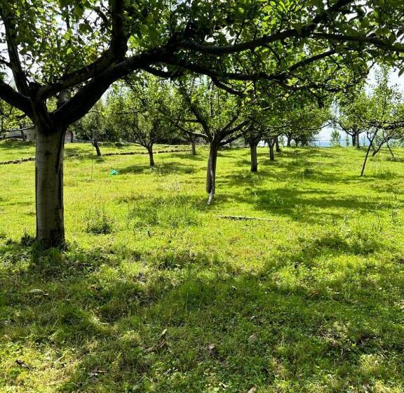 ペンション Hideaway Cottages