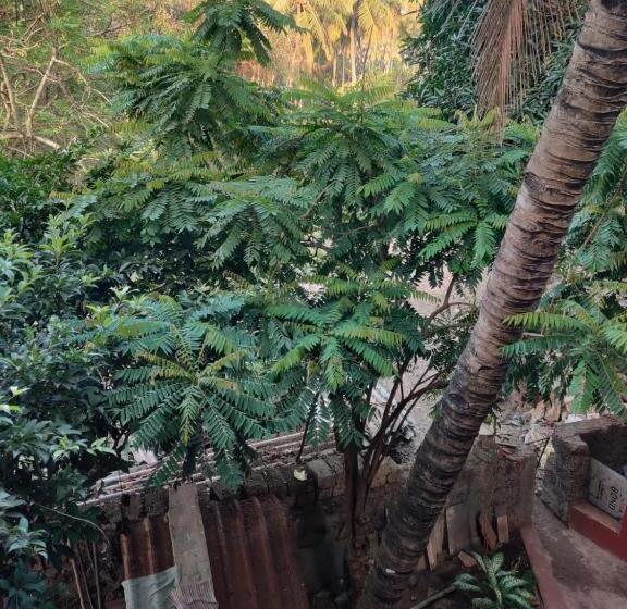 פנסיון Leon Home Stay