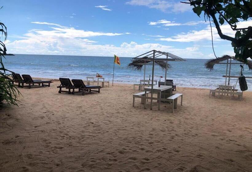 膳宿费 Oruwa Turtle Beach Villa