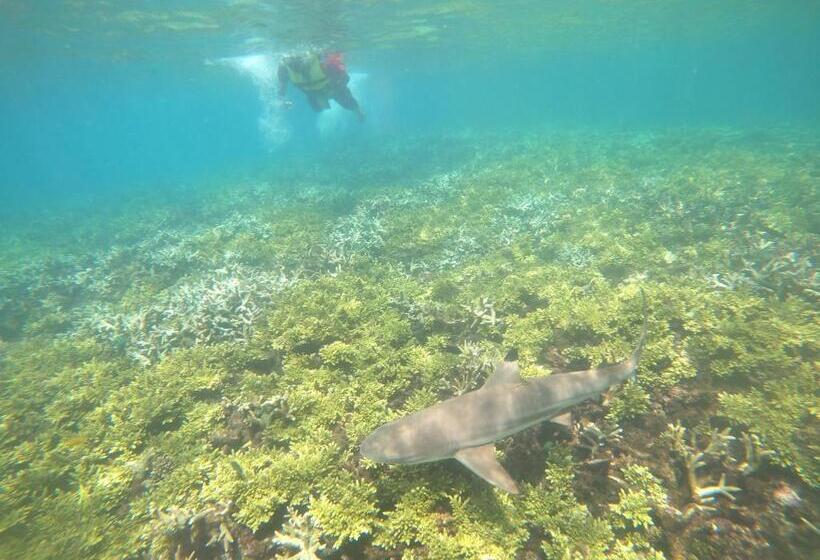 膳宿费 Perhentian Idaman