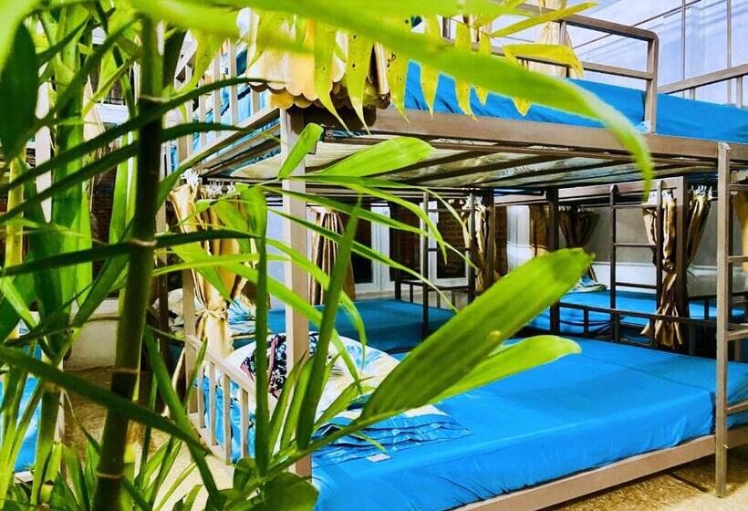 پانسیون Wind Hill Homestay Hà Giang