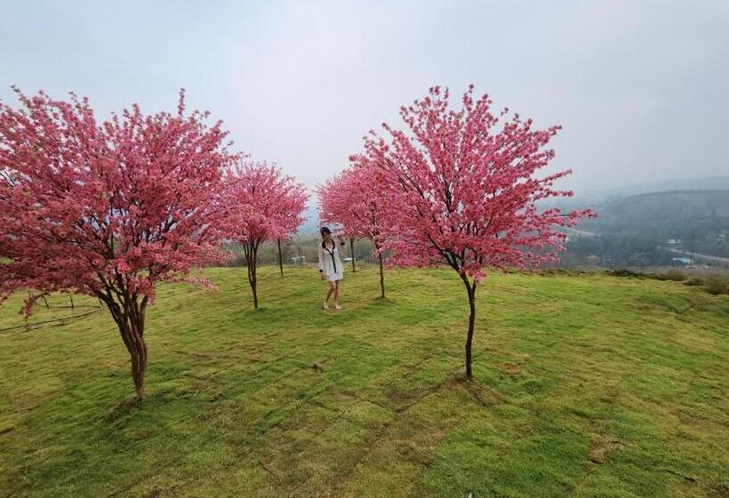 Lomakeskus Sirine​ Onsen​ รีสอร์ทออนเซนวิวทะเลหมอก