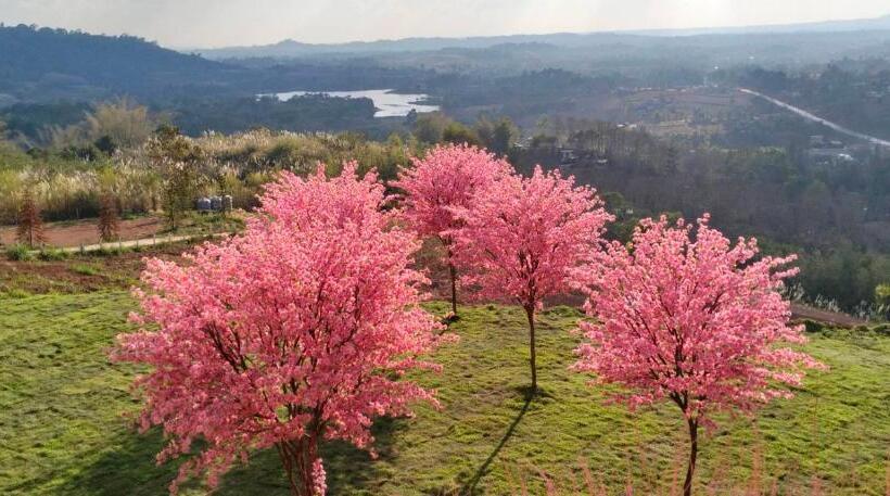 Lomakeskus Sirine​ Onsen​ รีสอร์ทออนเซนวิวทะเลหมอก