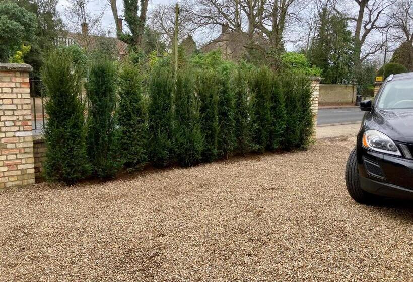 Yew Tree House, Bed & Breakfast In Colchester