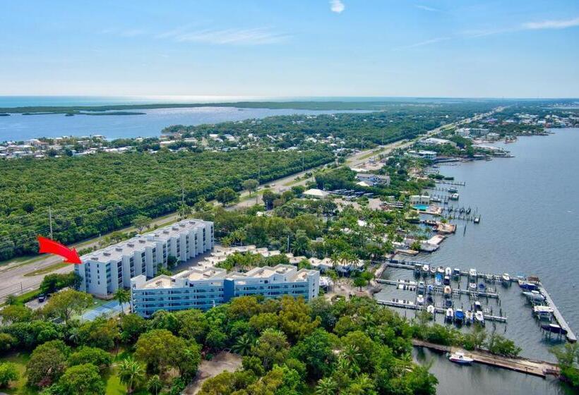 2br In Key Largo W Pool And Sunset Views