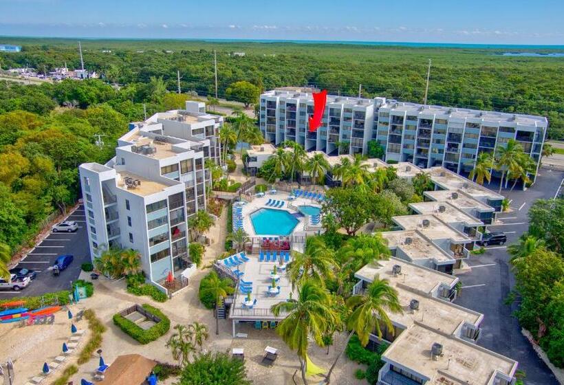 2br In Key Largo W Pool And Sunset Views