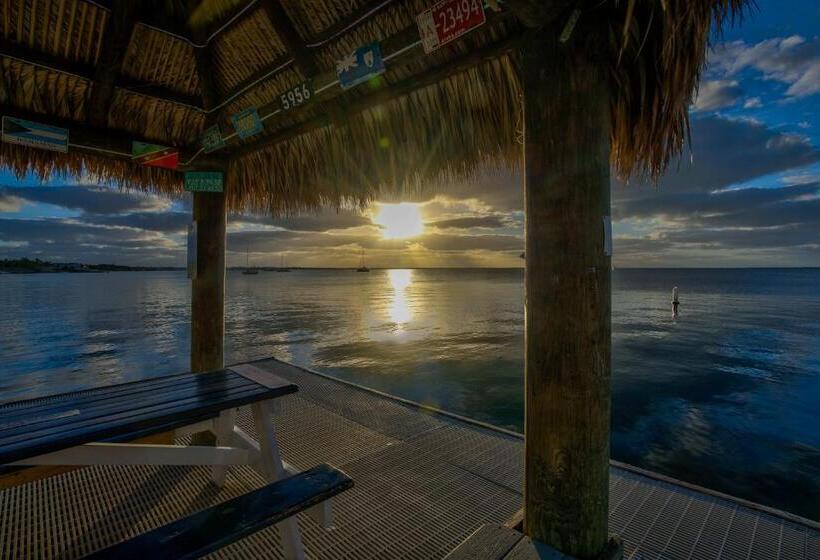 2br In Key Largo W Pool And Sunset Views