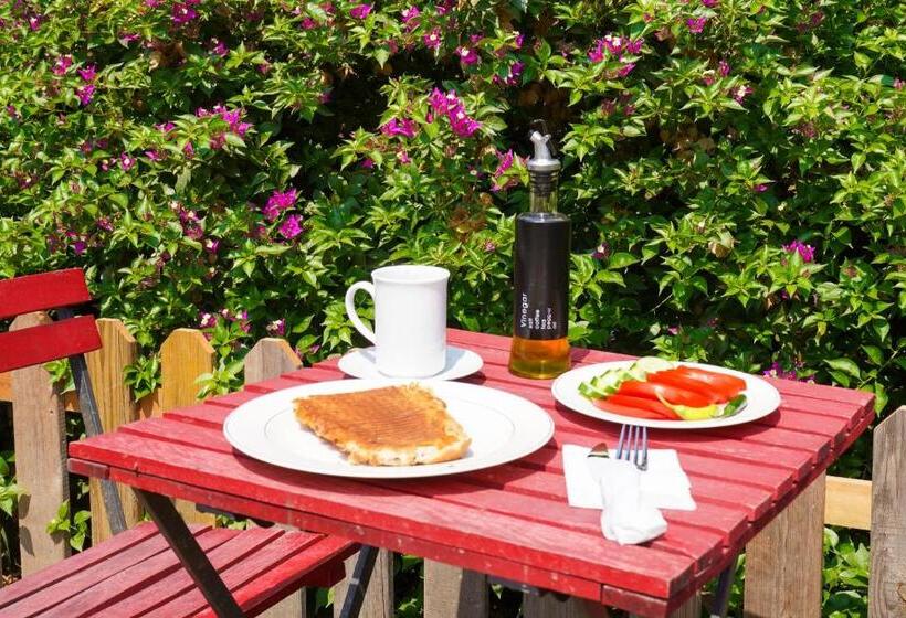 Akyaka Nehir Butik Otel