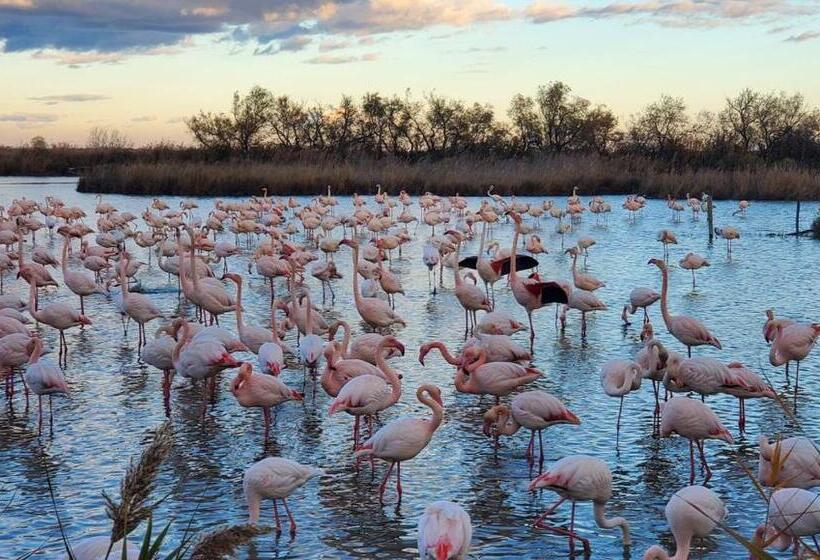 צימר Aux Portes De La Camargue