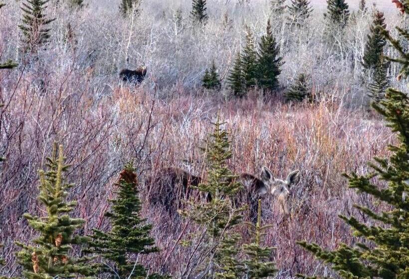 مبيت وإفطار Grand Glacier