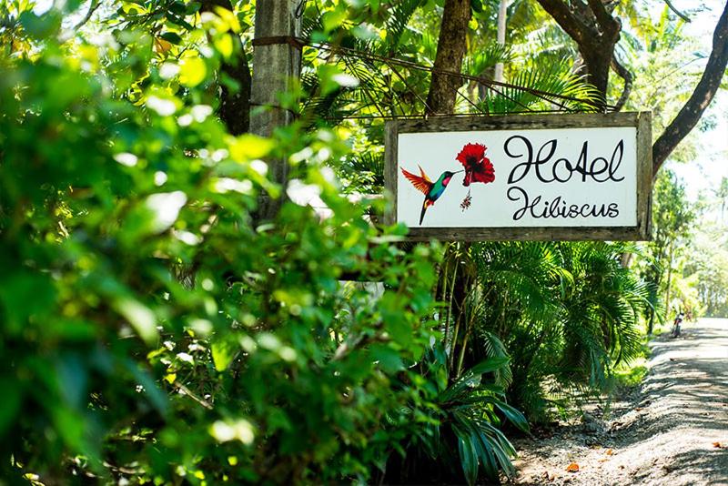 مبيت وإفطار Hibiscus Cabina 4