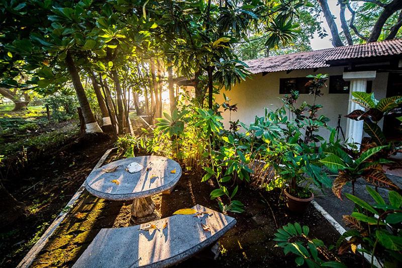 مبيت وإفطار Hibiscus Cabina 4