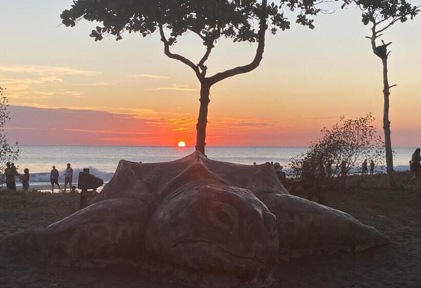 مبيت وإفطار Hibiscus Cabina 4