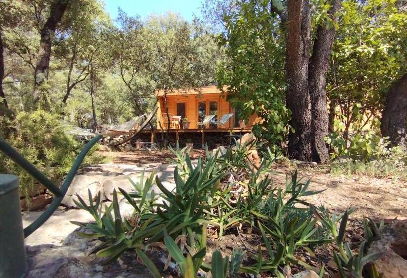 צימר La Bergerie Des Colles