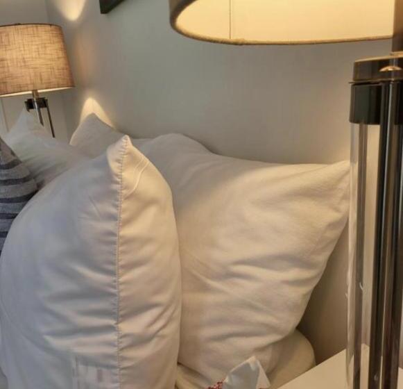 ベッドアンドブレックファースト Pleasure Ride