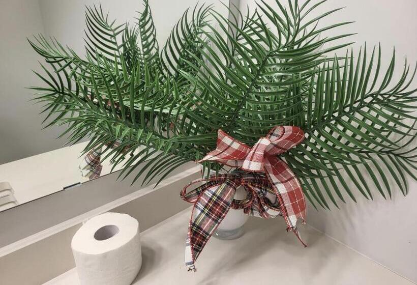 ベッドアンドブレックファースト Pleasure Ride