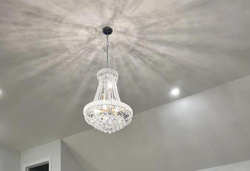 ベッドアンドブレックファースト Pleasure Ride