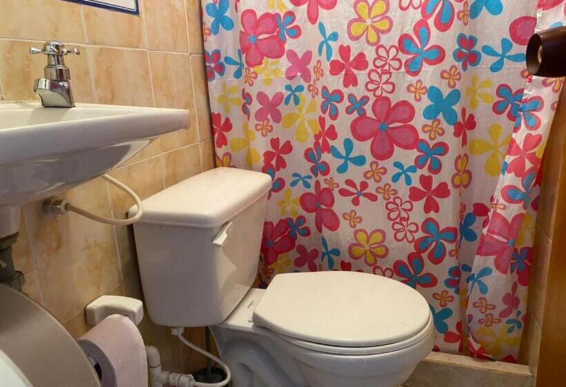 هتل Brisas Del Café