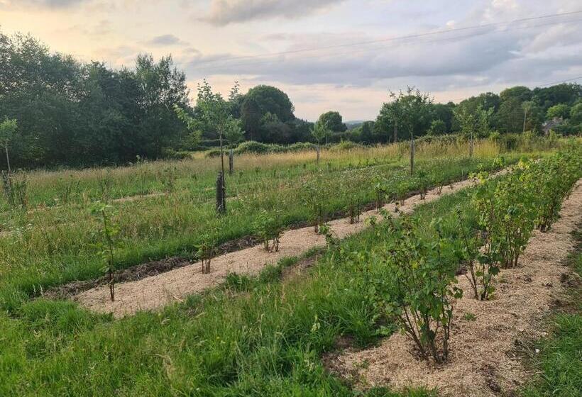 Отель Chambre à La Ferme, Les Vergers Du Muscardin